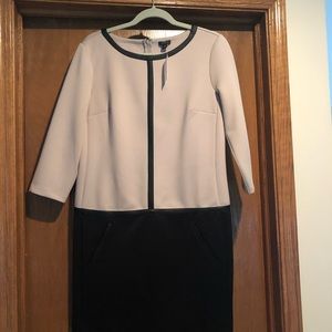 Ann Taylor business casual never worn dress.